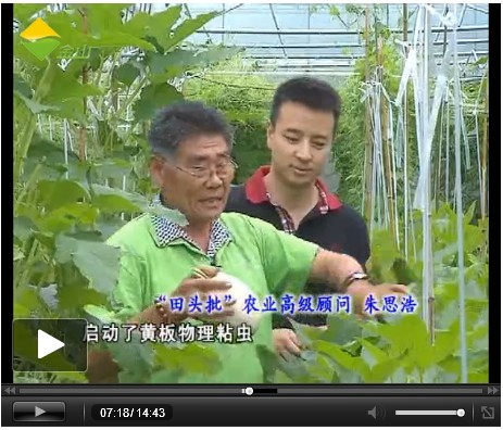 上海金山电视台报道我公司农家乐基地