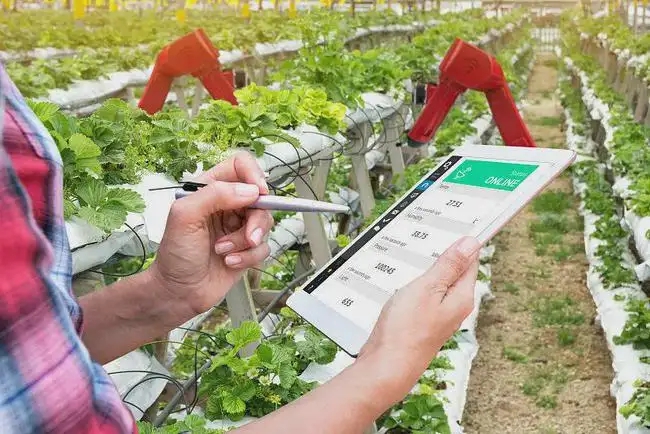 国家将增加12个新型农业科技人才培养引导性专业
