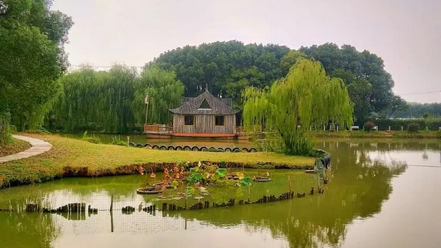 国家五星级精品园区：上海芳心园