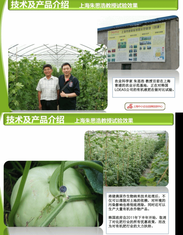 韩国有机液肥公司与我公司合作试验