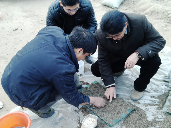 yumiaozhidao.jpg
