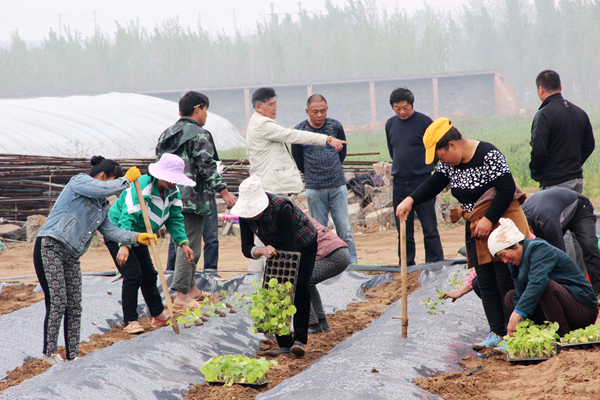 xinxiangjishuzhidao.jpg