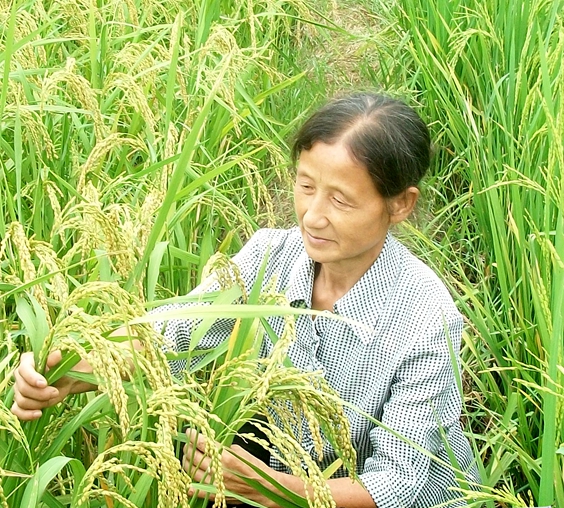 张秀菊/著名富硒专家