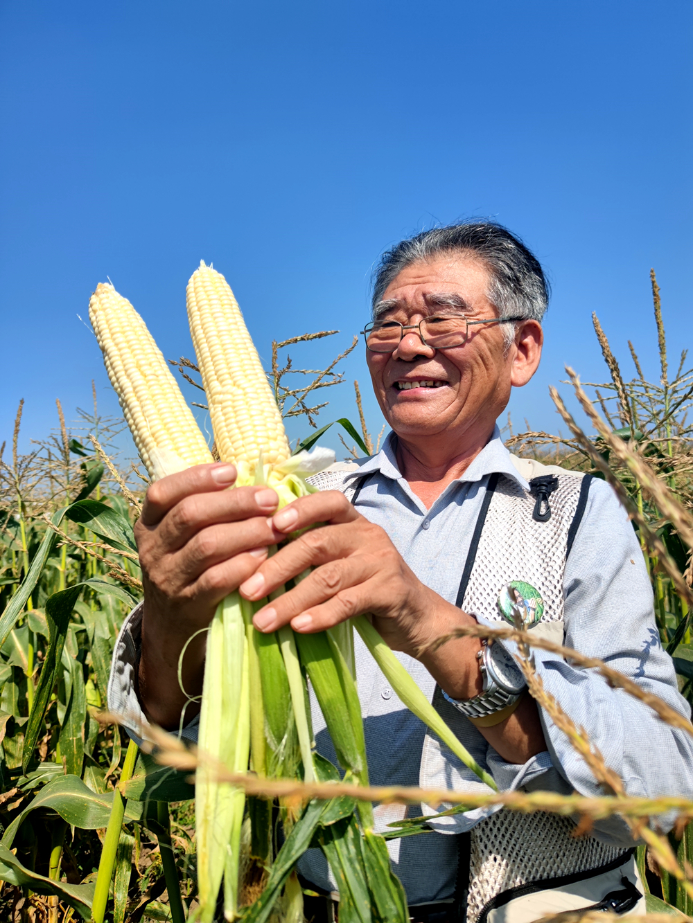 祝贺朱思浩院士荣膺中国土地学会终身会士称号