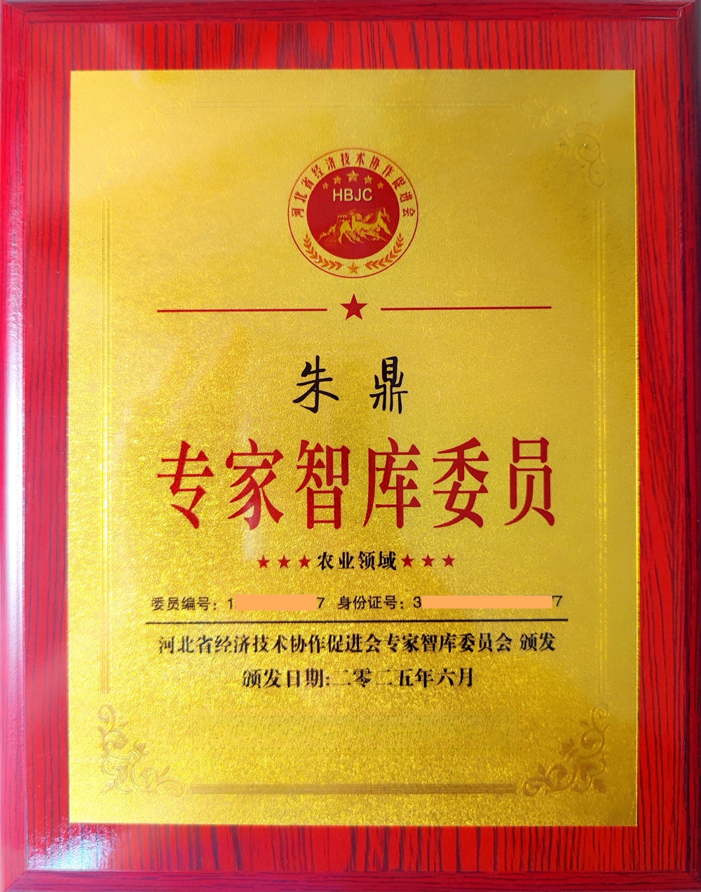 河北经济技术协促进会专家委员铜牌副本.jpg